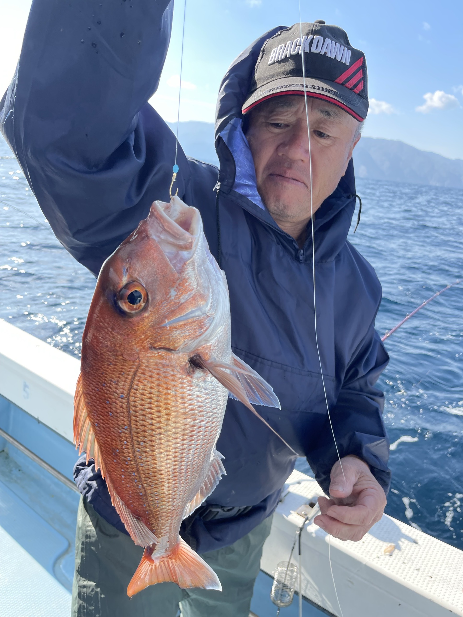 11月12日