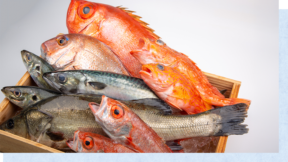 季節の魚のご紹介